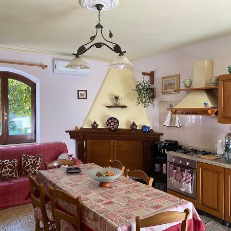 Guest House Brandino Pani Tertenìa Екстериор снимка